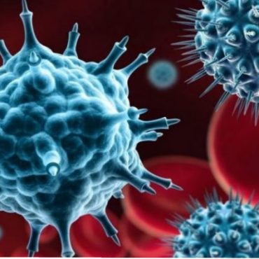 Powiększone komórki koronawirusa w kolorze błękitnych na tle czerwonych ciałek krwi