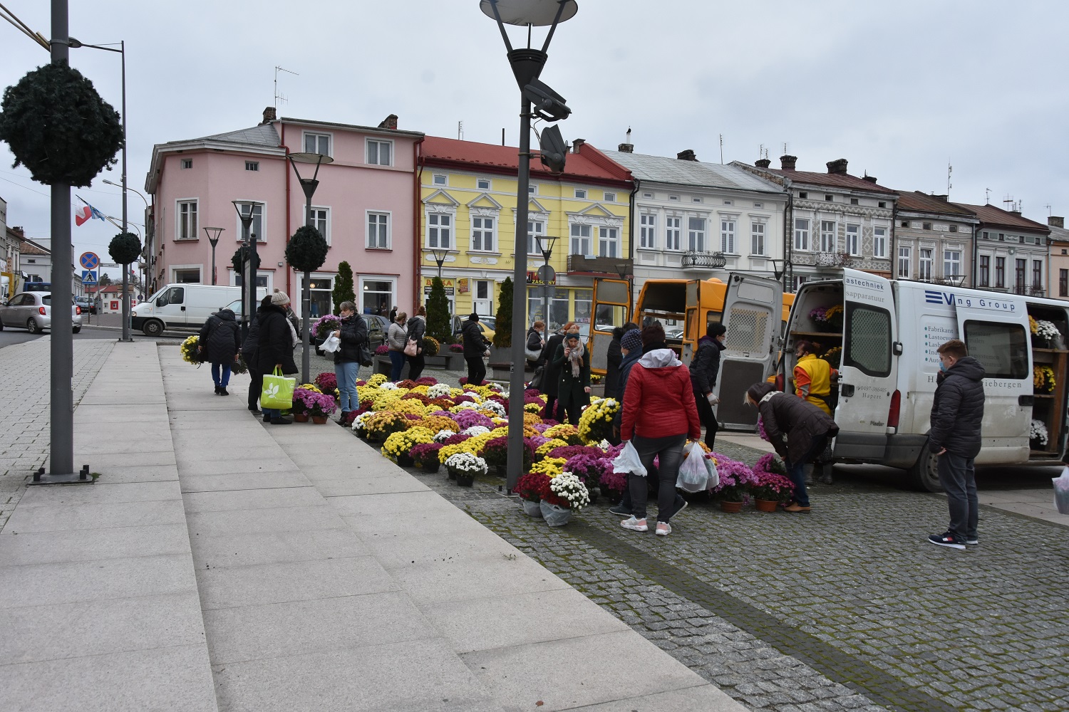 Mieszkańcy Brzozowa i okolic odbierają z Rynku w Brzozowie bezpłatnie chryzantemy.