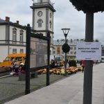 Mieszkańcy Brzozowa i okolic za darmo odbierają chryzantemy.