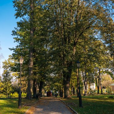 Park zielony, między alejką rosną drzewa liściaste.