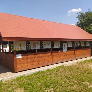 Drwaniana altana W tle trawa i błękitne niebo.