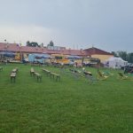 Stadion z utawionymi ławkami. W tle foodtrucki.