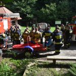 Grupa osób w strojach strażackich stoi w lesie i rozmawiają na teamt ćwiczeń. Obok nich stoją samochody pożarnicze.