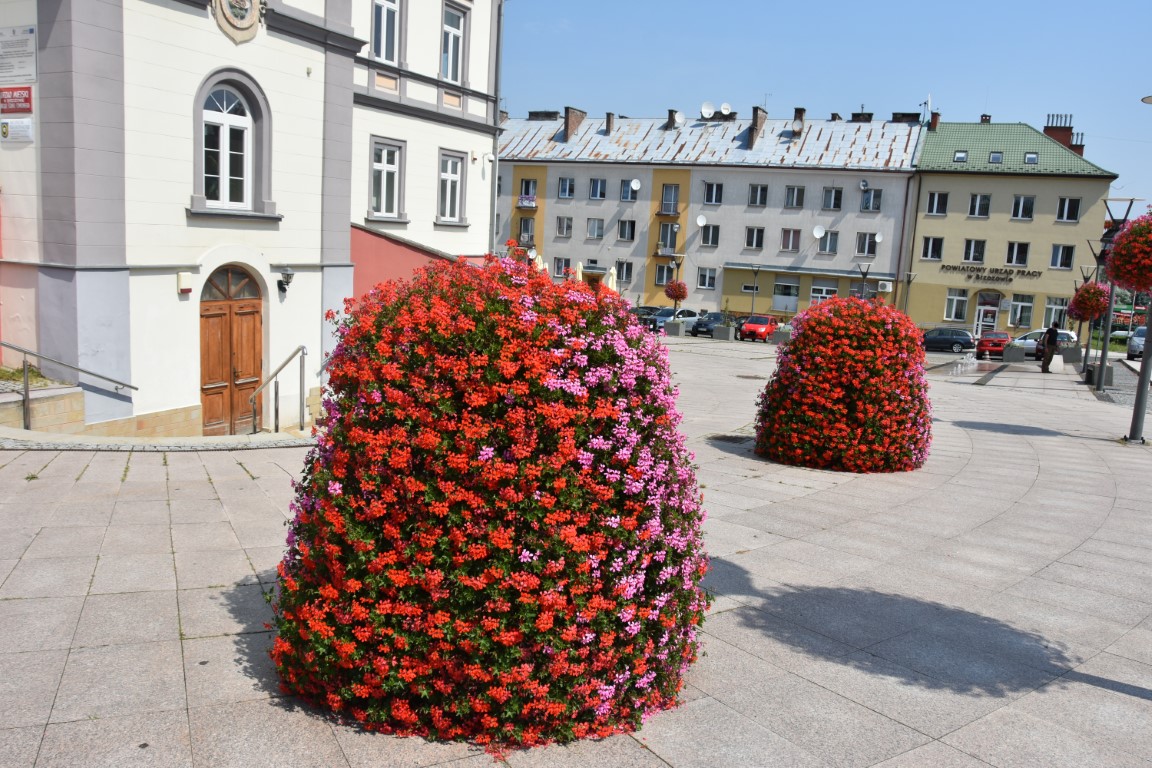 Ozdoby z kawiatów umieszczone na rynku miejskim.