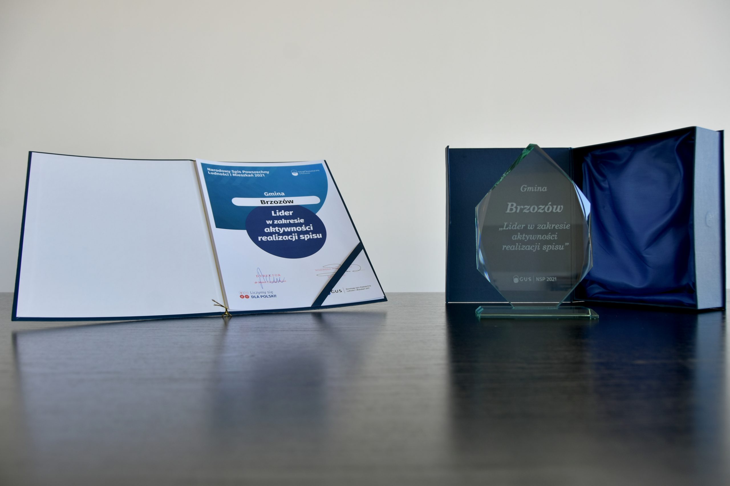 Dyplom oraz kryształowa nagroda znajdująca się na białym tle