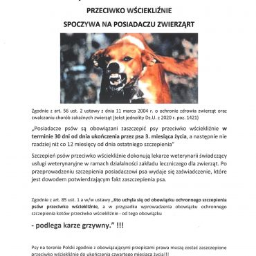 Ulotka informacyjna obowiązek szczepienia psów