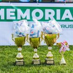 Złote puchary stoją na zielonym trawniku, włożone są piłki w nie.