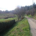 Droga błonista z dziurami między polami.