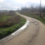 Droga błonista z dziurami między polami.