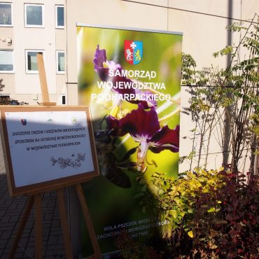 Baner i tablica informacja przed budynkiem z jasną elewacją. Obok rosną krzewy.