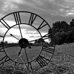 Tarcza zegara położona na łące.