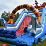 Dmuchaniec kolotu niebieskiego z widocznym delfinym.